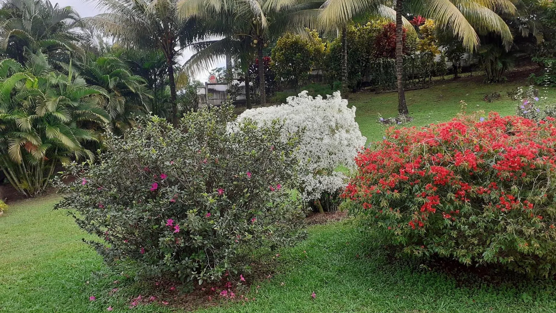 Holiday home La Petite Maison Dans La Prairie Villa Gros-Morne